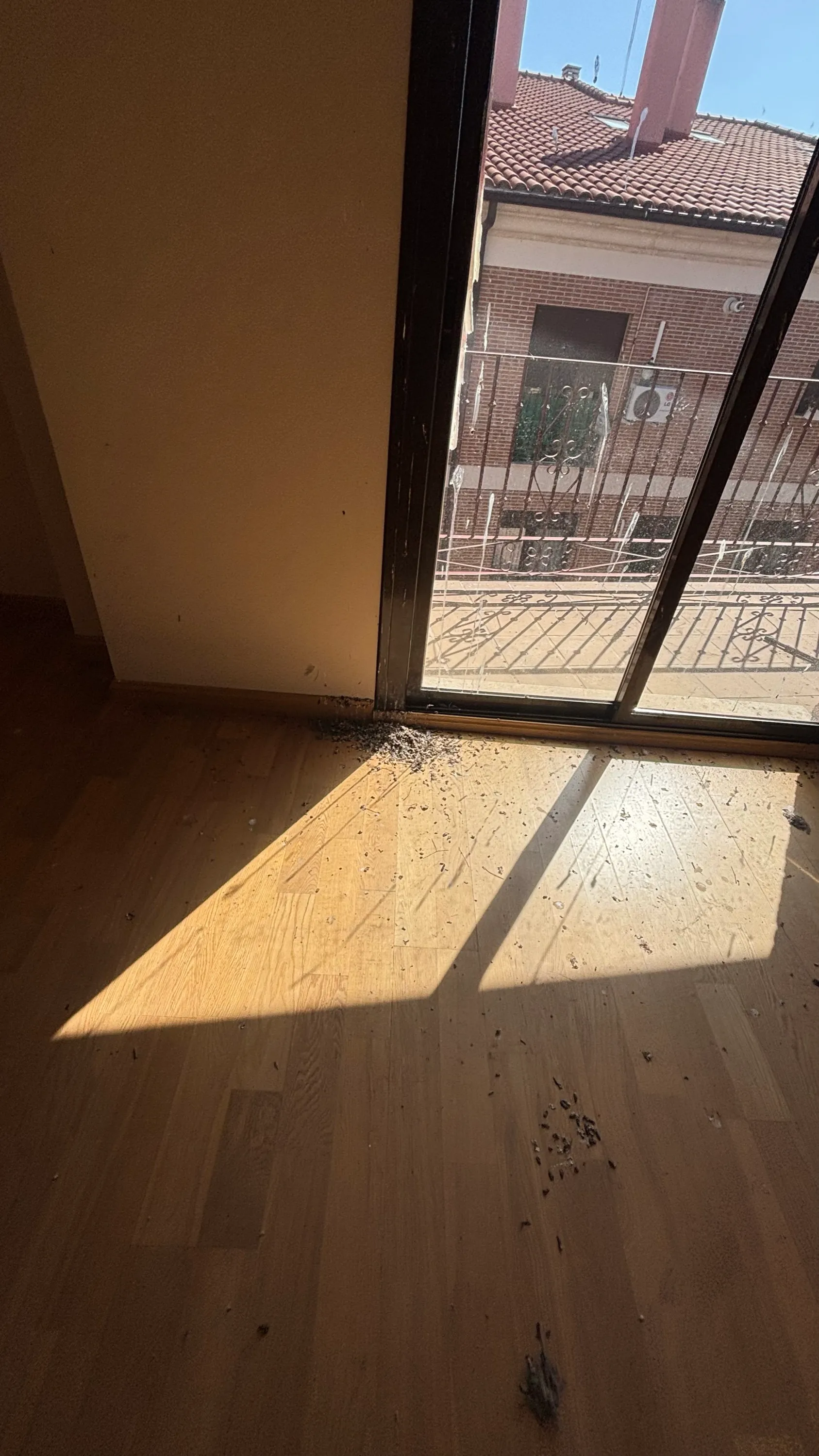 Estado inicial del inmueble — Salón (primera entrada)