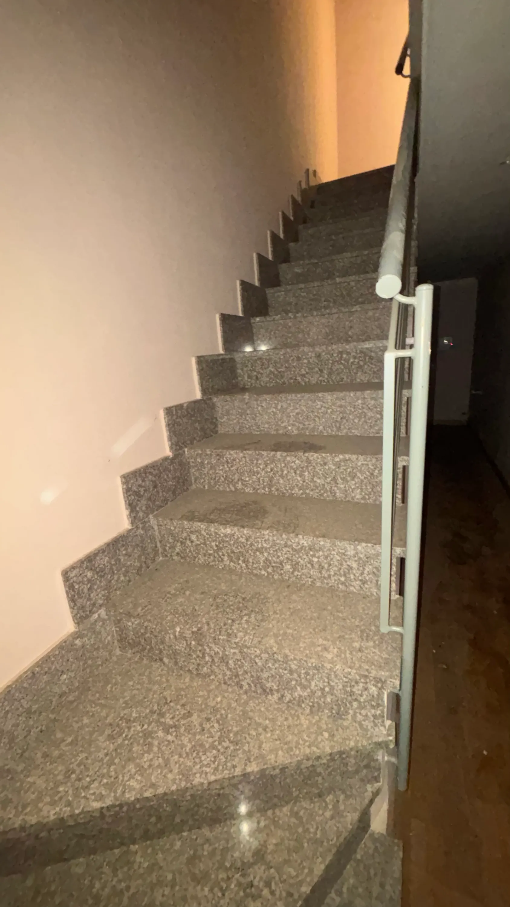 Estado inicial del inmueble — Escalera (primera entrada)
