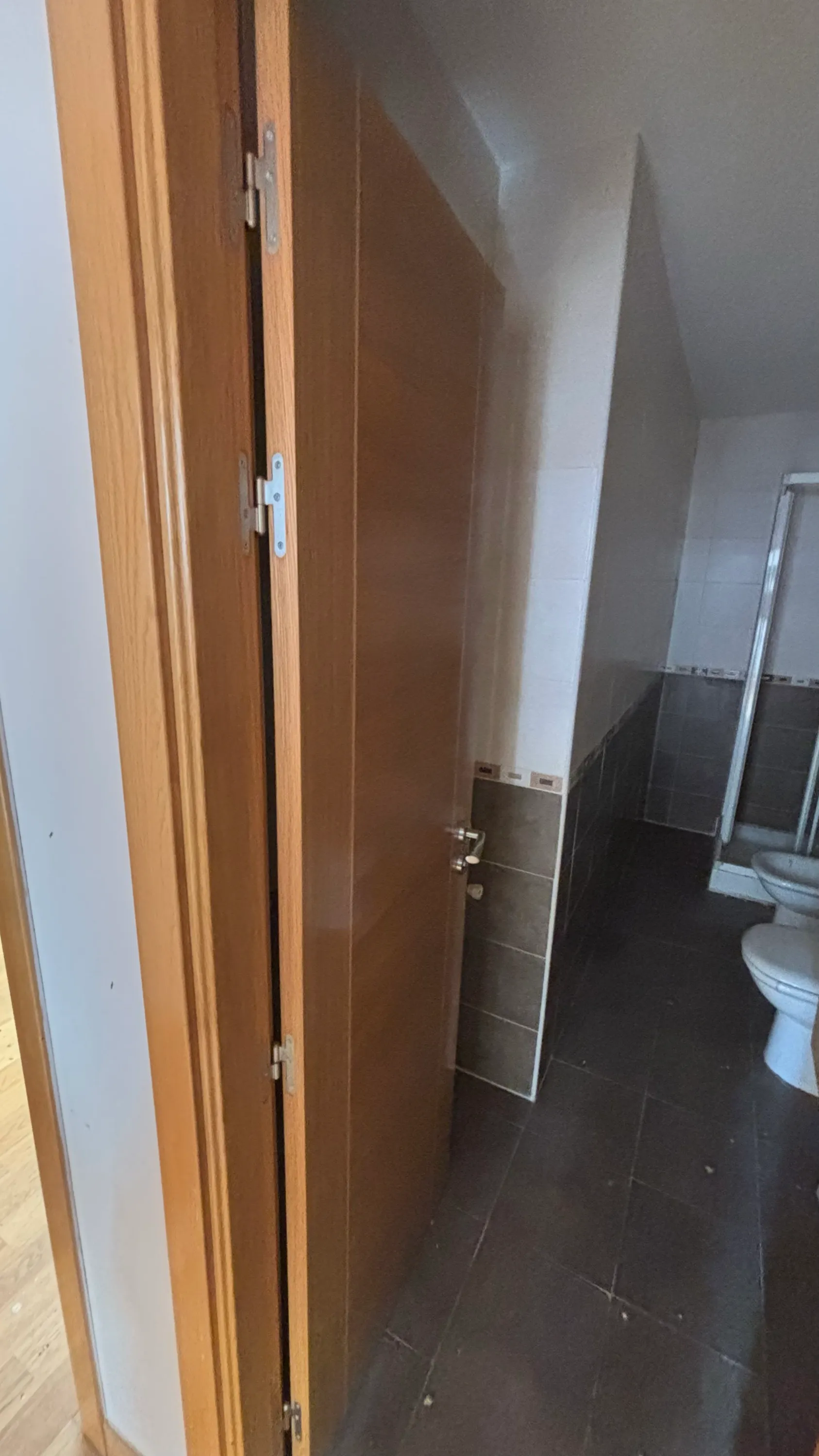 Estado inicial del inmueble — Baño 2 (primera entrada)
