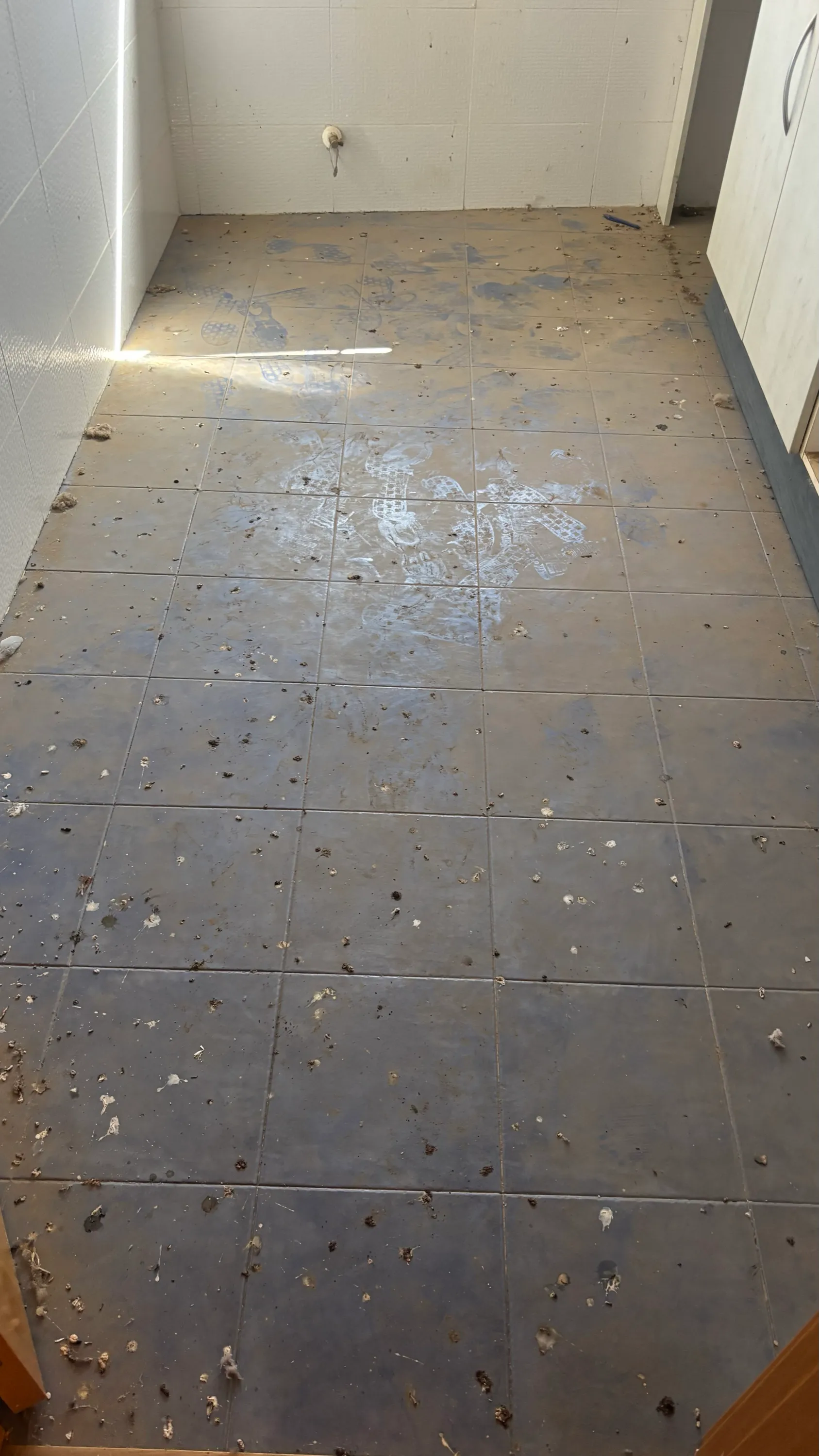 Estado inicial del inmueble — Cocina / detalle estado inicial (primera entrada)